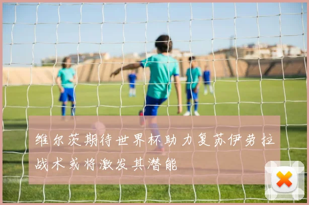 维尔茨期待世界杯助力复苏伊劳拉战术或将激发其潜能