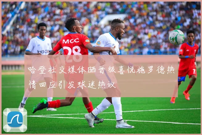 哈登社交媒体晒晋级喜悦施罗德热情回应引发球迷热议